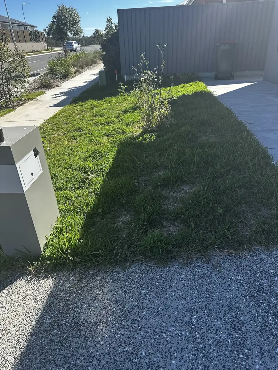 Overgrown lawn beside a driveway and letterbox, with weeds growing