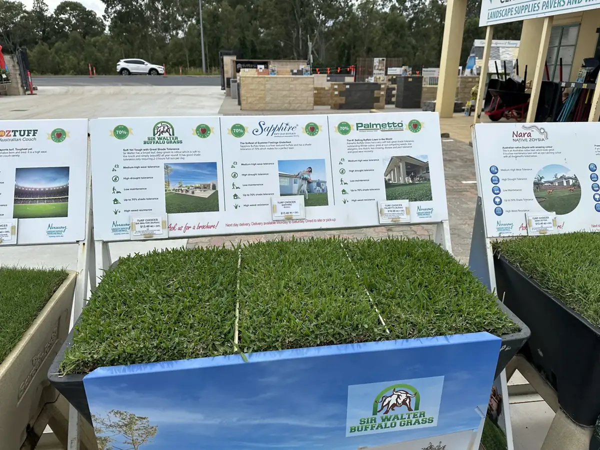 Turf samples of different grass varieties